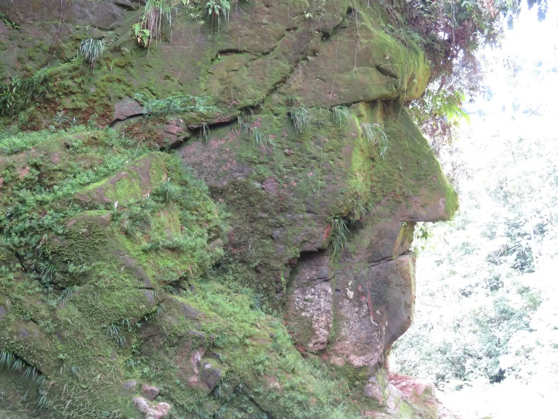 El Ministerio de Cultura declaró Patrimonio Cultural de la Nación al sitio arqueológico Rostro Harakbut, monumento de piedra ubicado dentro de la Reserva Comunal Amarakaeri, en Madre de Dios. Foto: ECA Reserva Comunal Amarakaeri/Facebook
