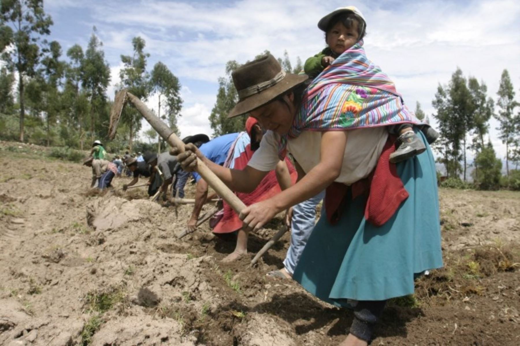 Reactivación Económica Medidas De Apoyo Al Agro Familias Turismo Y Exportaciones Noticias 9038