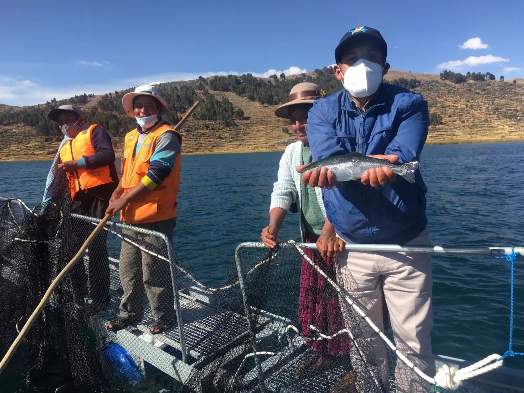 Productores de trucha de la provincia de Moho, en Puno, han formado una asociación para desarrollar un exitoso emprendimiento. ​ANDINA/Difusió