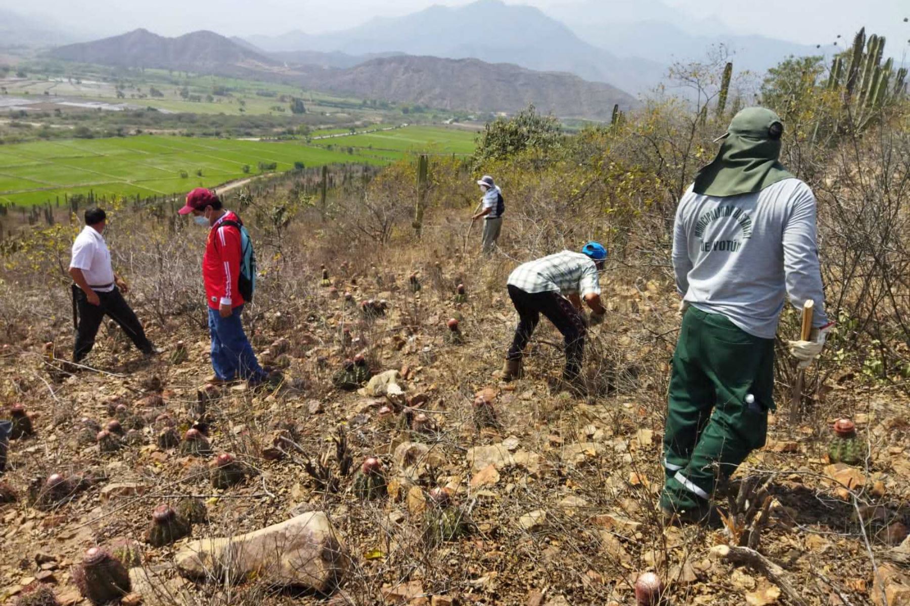 Trabajadores de diversas instituciones y lugareños del Cerro El Águila participaron en jornada de limpieza. Foto: ANDINA/Difusión