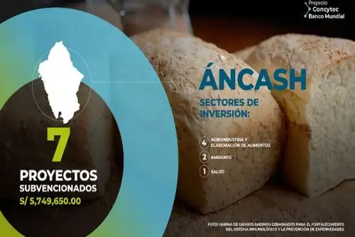 Para conocer más acerca de estos y otros proyectos, además de sus avances, se puede visitar la página web: https://bancomundial.fondecyt.gob.pe/