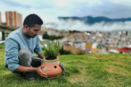 Proyecto Alinti, de Hernán Asto Cabezas, genera electricidad con fotosíntesis de plantas. Foto: Cortesía