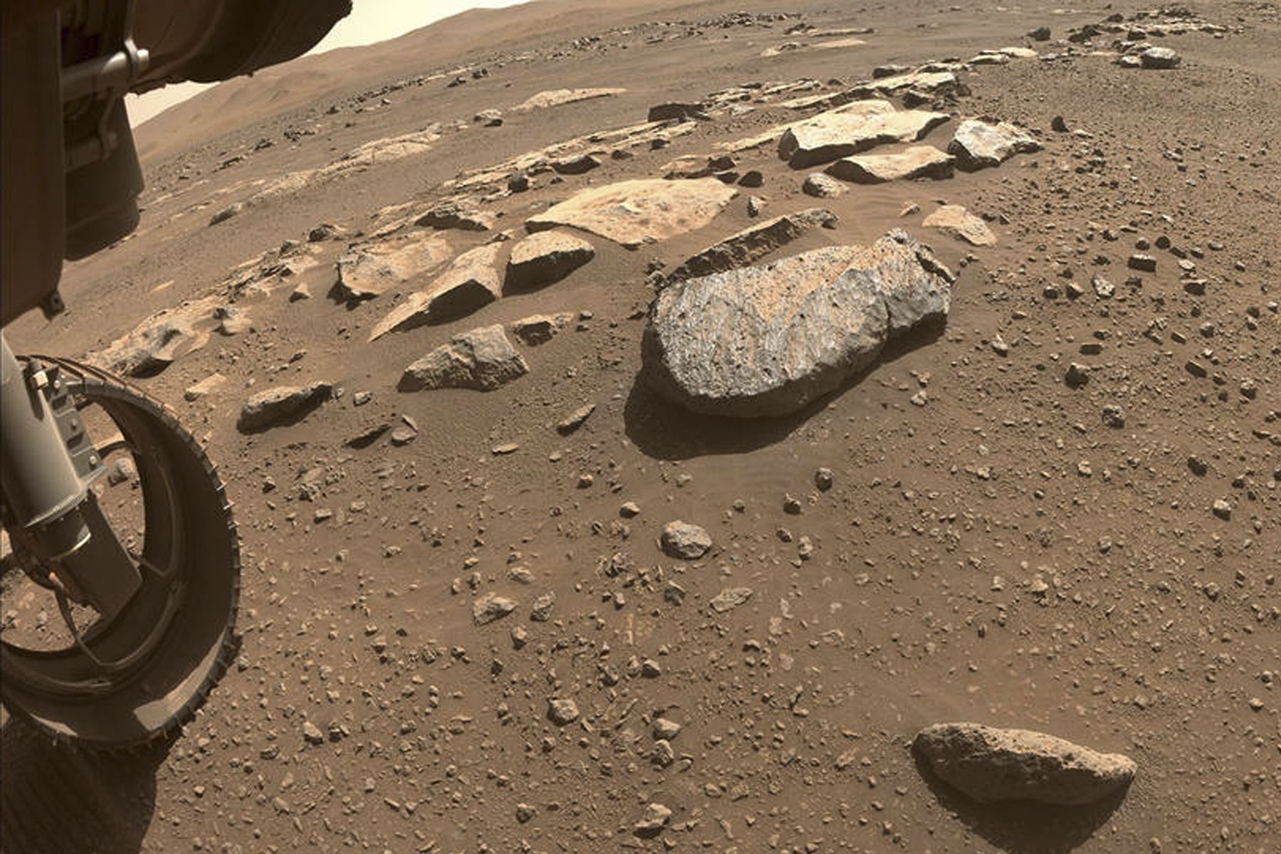 Un objetivo clave de la misión de Perseverance en Marte es la astrobiología, incluida la búsqueda de signos de vida microbiana antigua.  Foto: NASA