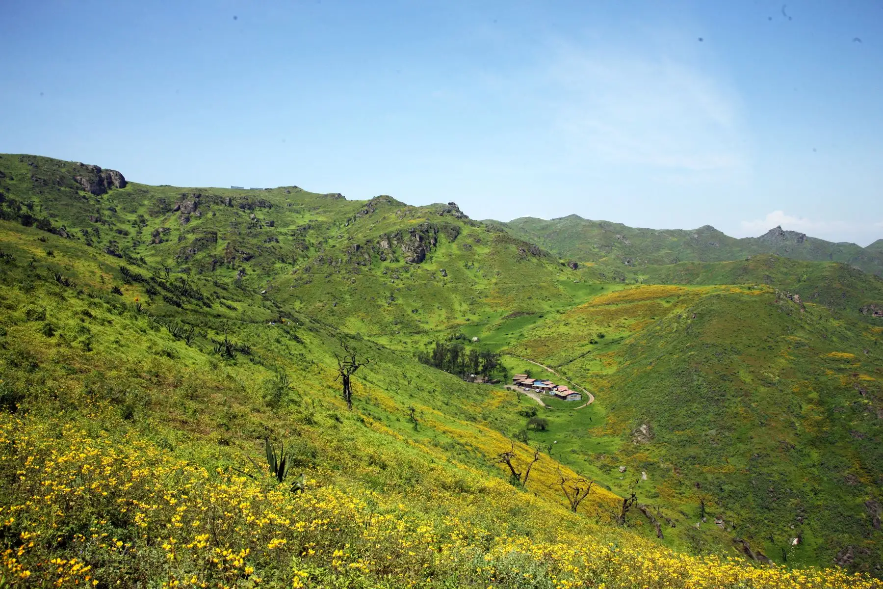 Agosto y setiembre son los mejores meses para visitar este hermoso lugar ubicado en el kilómetro 105 de la carretera Panamericana Norte, en la provincia de Huaura. Foto: Cortesía/Alejandro Tabini