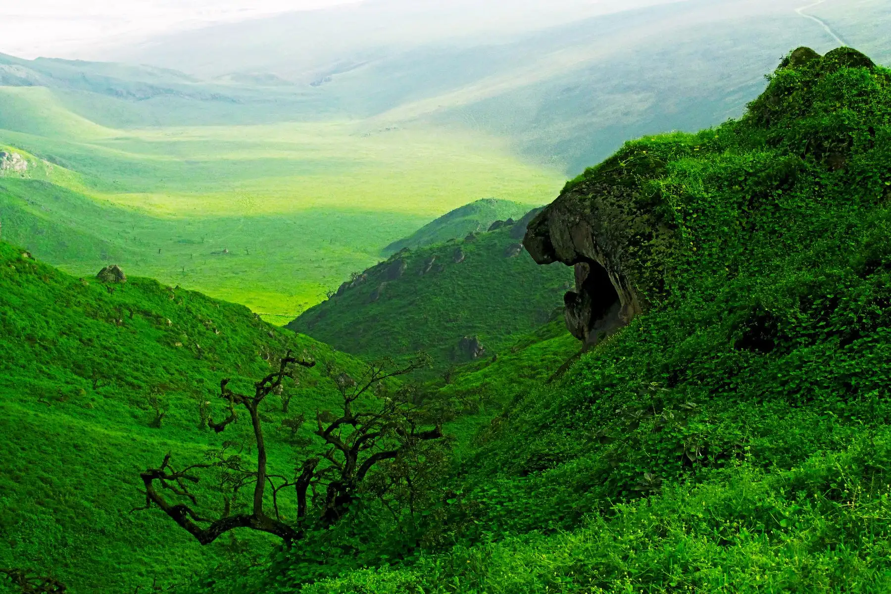 La Reserva Nacional de Lachay es uno de los destinos de naturaleza más importantes ubicado cerca de la ciudad de Lima y es el lugar preferido por las personas que quieren disfrutar del contacto con la naturaleza. Foto: Cortesía/Kerly Castillo
