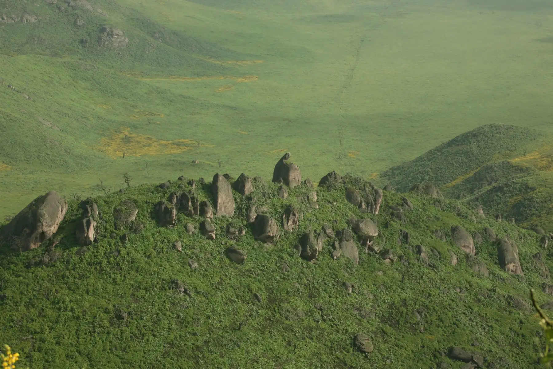 La Reserva Nacional de Lachay es uno de los destinos de naturaleza más importantes ubicado cerca de la ciudad de Lima y es el lugar preferido por las personas que quieren disfrutar del contacto con la naturaleza. Foto: Cortesía/Alejando Tabini