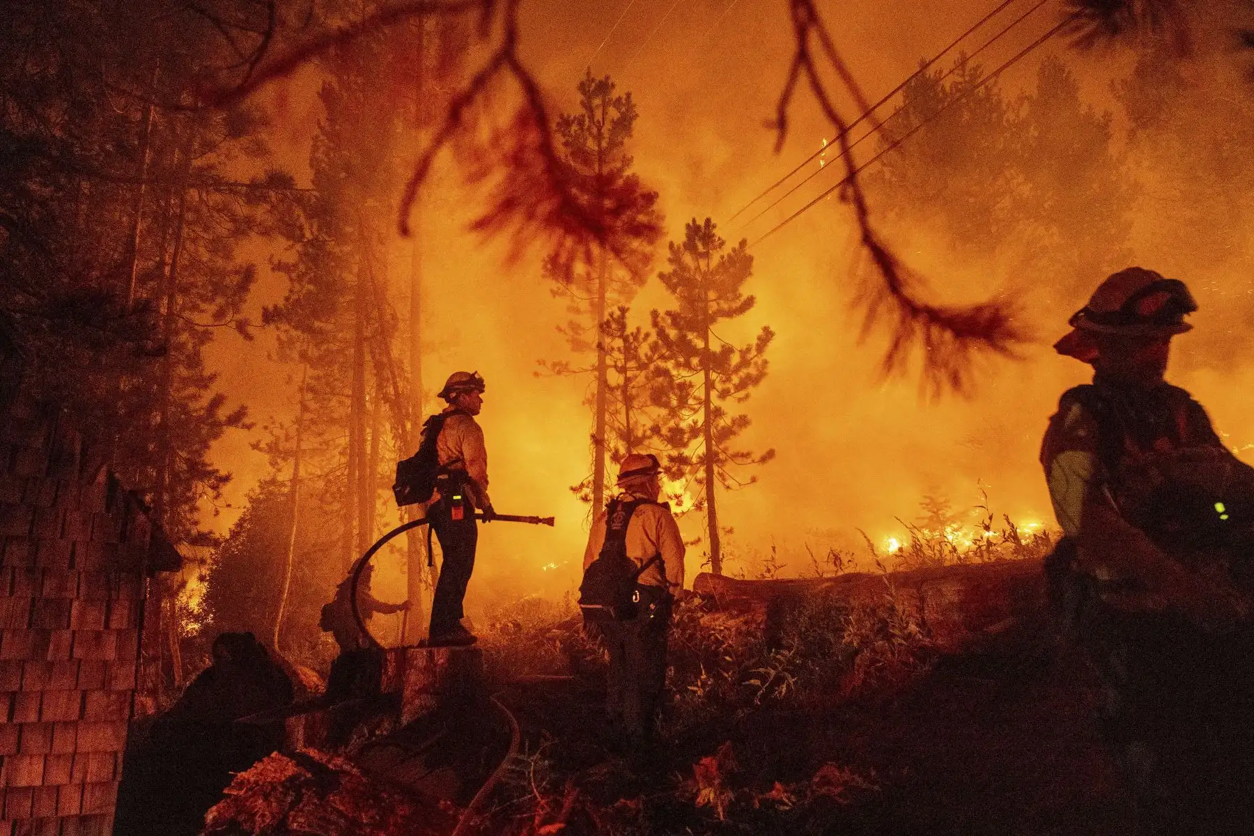 Los bomberos monitorean las llamas durante el incendio de Caldor en Twin Bridges, California, en los Estados Unidos. Foto: AFP