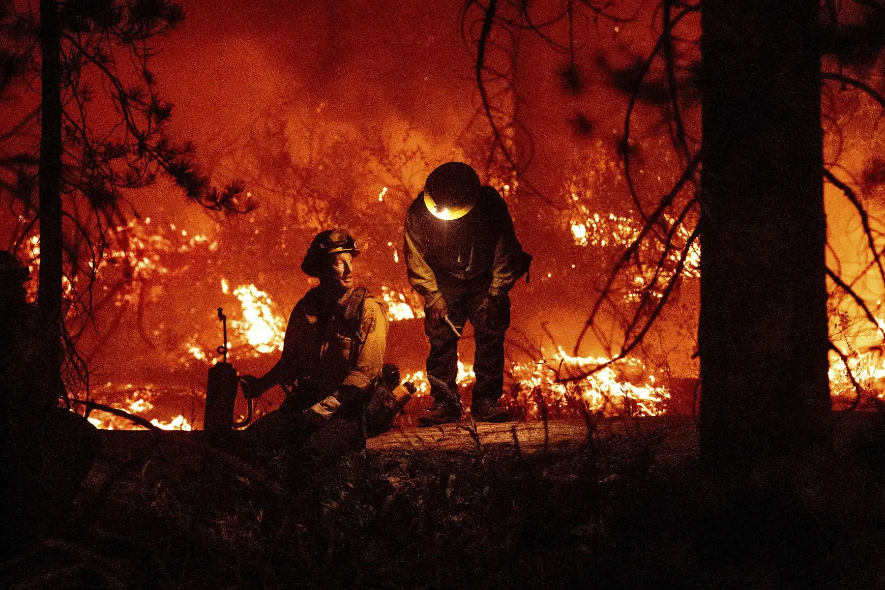 Los bomberos discuten sus acciones mientras monitorean el avance del incendio de Caldo,r en Twin Bridges, California, Estados Unidos. Foto: AFP