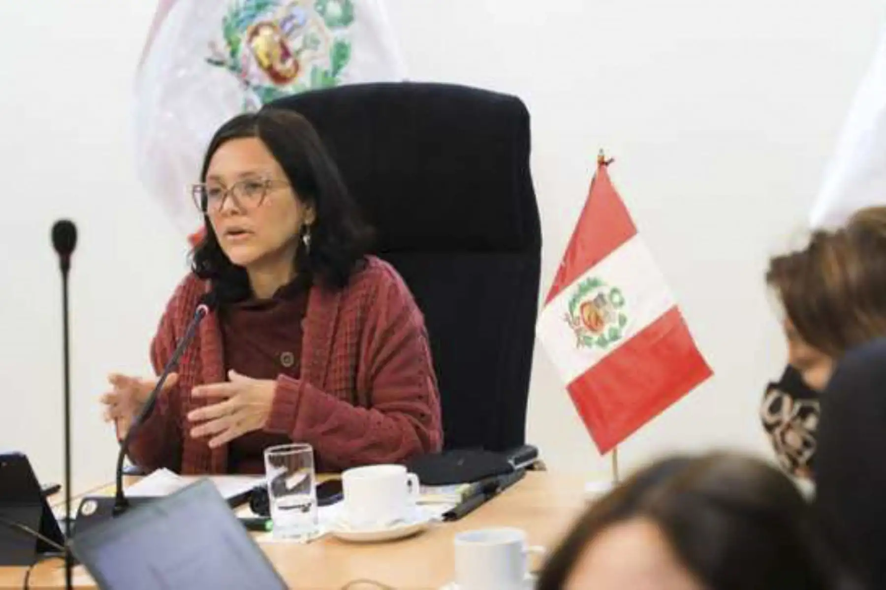 Foto: ANDINA/difusión.