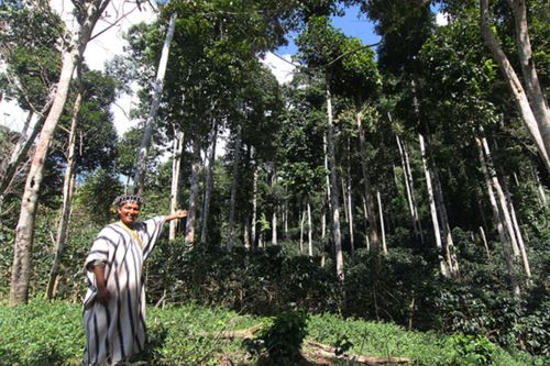 “Los conocimientos de las poblaciones indígenas ayudan a preservar el planeta”, subrayó la viceministra Yamina Silva. Foto: ANDINA/Minam