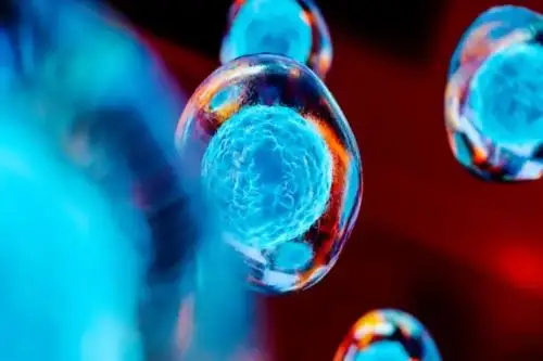 Según una investigación realizada por Pablo Meyer Rojas, gerente de análisis y modelado biomédicos del Centro de Salud Computacional de IBM, la Inteligencia Artificial puede ayudarnos a acelerar los descubrimientos sobre linajes celulares. Foto: IBM