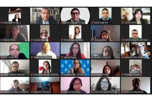 Durante el evento, se señaló la importancia de difundir la normativa peruana en cuanto al tratamiento de los diplomas extranjeros, a fin de beneficiar al creciente número de profesionales que requieren acceder a un reconocimiento oficial de los mismos en el Perú. Foto: ANDINA/Difusión