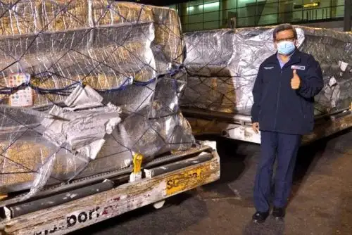 El ministro de Salud, Hernando Cevallos, recibió hoy un nuevo lote de vacunas contra el covid-19. Foto: ANDINA/difusión.