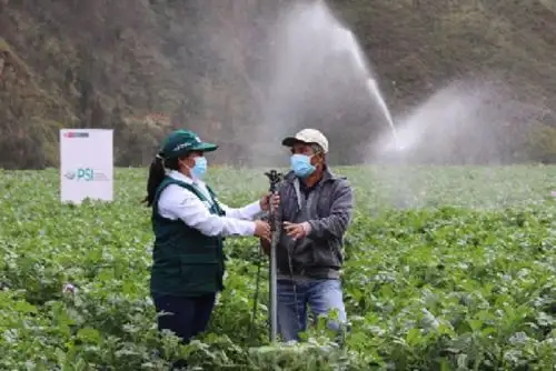 Especialistas del PSI trabajan con beneficiarios del anexo Ruiz Señor, en la región Cajamarca.