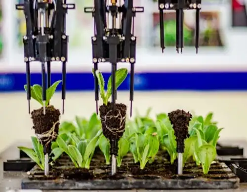 Especialistas de la Universidad Peruana Antenor Orrego y del CITEagroindustrial Chavimochic han creado un sistema robótico que optimiza el control de calidad en el sector agroindustrial. ANDINA/Difusión