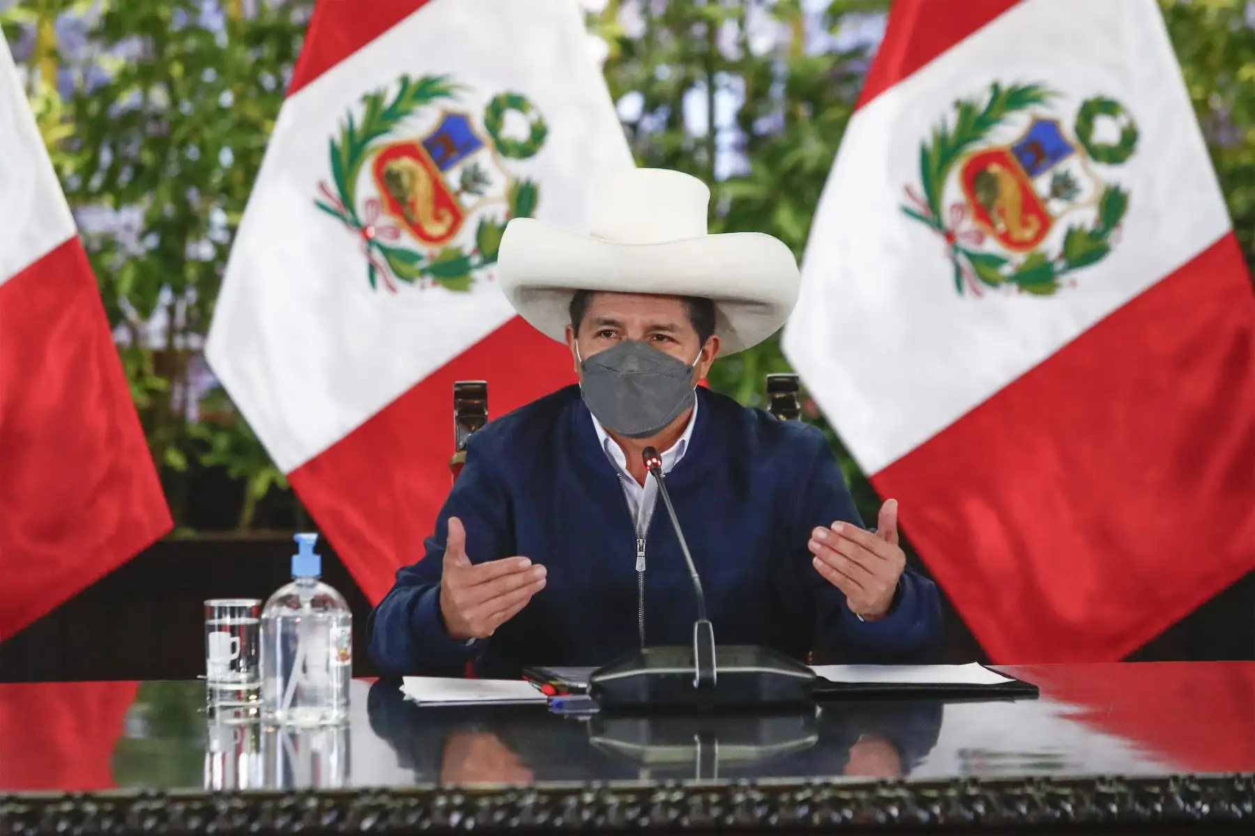ANDINA/Prensa Presidencia