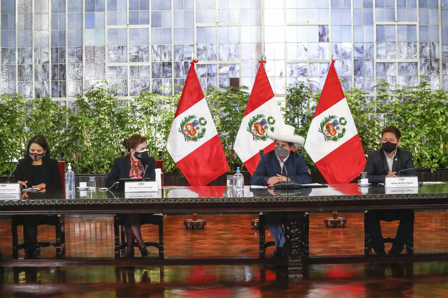 ANDINA/Prensa Presidencia