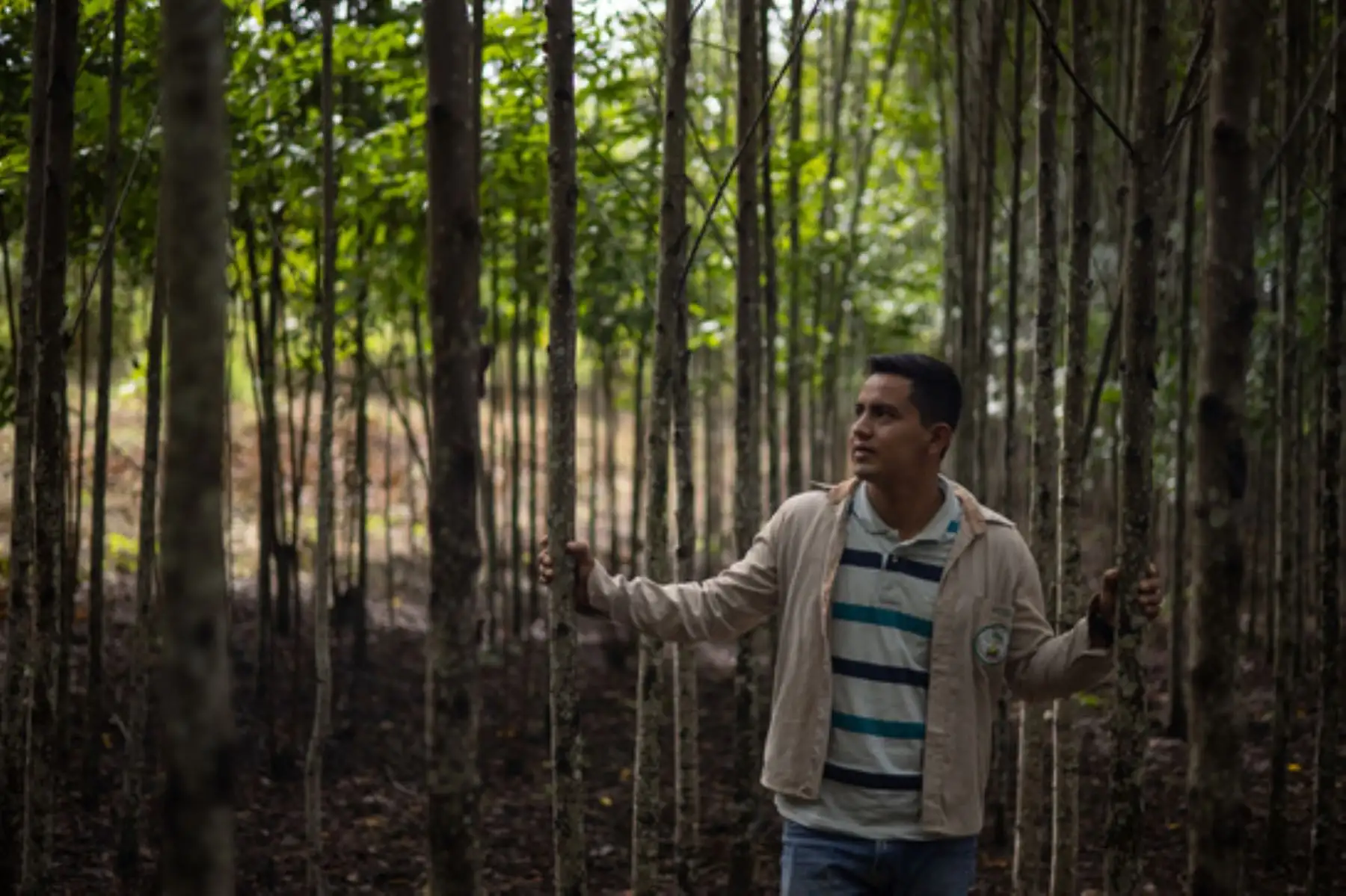 El Proyecto Forestal permitió el desarrollo de 34 talleres de capacitación en beneficio de agricultores. Foto: ANDINA/Serfor