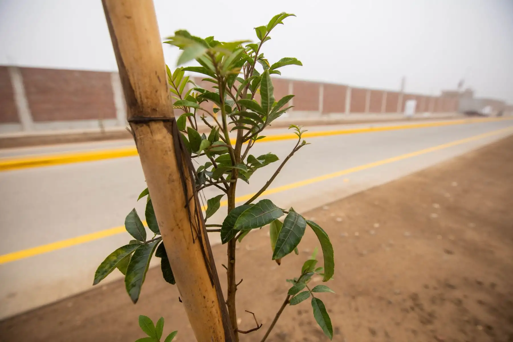 La ejecución de la obra a cargo de la Municipalidad de Lima, a través de su Programa de Gobierno Regional, demandó una inversión superior a los S/11 millones, provenientes de recursos de la comuna limeña. Foto: ANDINA/Municipalidad de Lima
