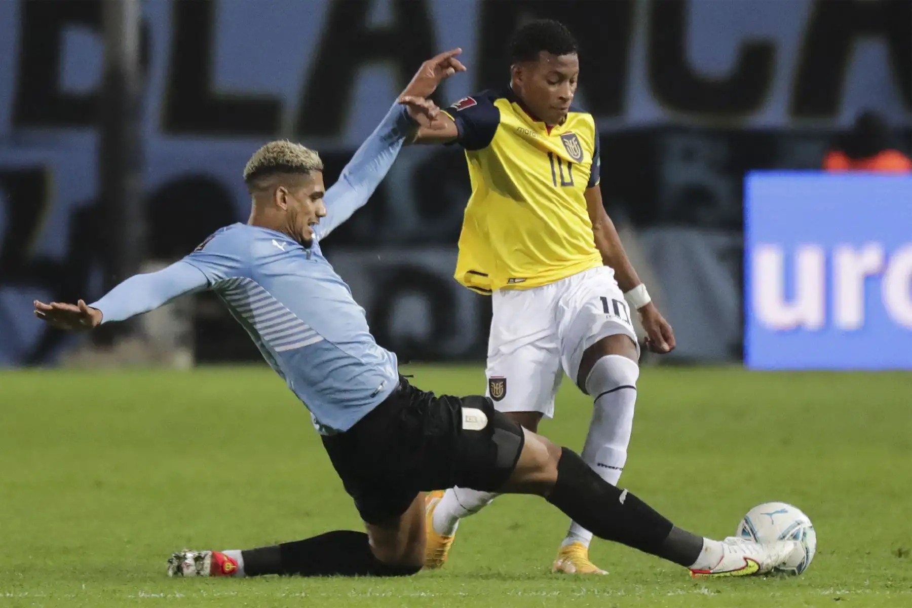 El uruguayo Ronald Araujo y el ecuatoriano Gonzalo Plata compiten por el balón durante su partido de fútbol de clasificación sudamericano para la Copa Mundial de la FIFA Qatar 2022 en el estadio Campeón del Siglo en Montevideo.
Foto: AFP