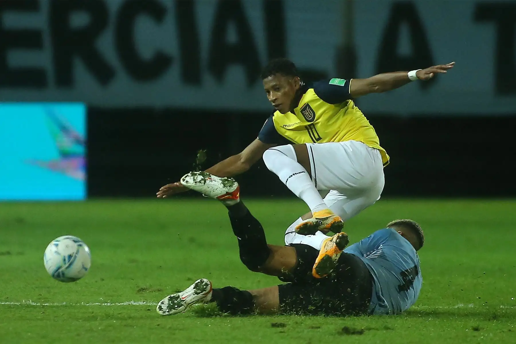 Ronald Araújo de Uruguay disputó el balón con Gonzalo Plata de Ecuador, durante de un partido de las eliminatorias sudamericanas para el Mundial de Catar 2022 entre Uruguay y Ecuador en el estadio Campeón del Siglo en Montevideo.
Foto: EFE