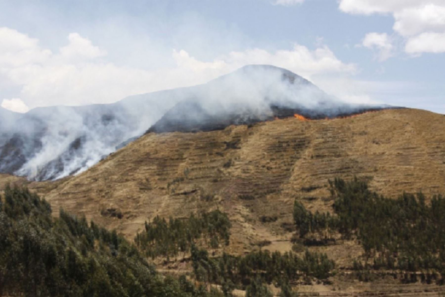 Cusco reporta más de 160 incendios forestales en lo que va del año. ANDINA/Difusión