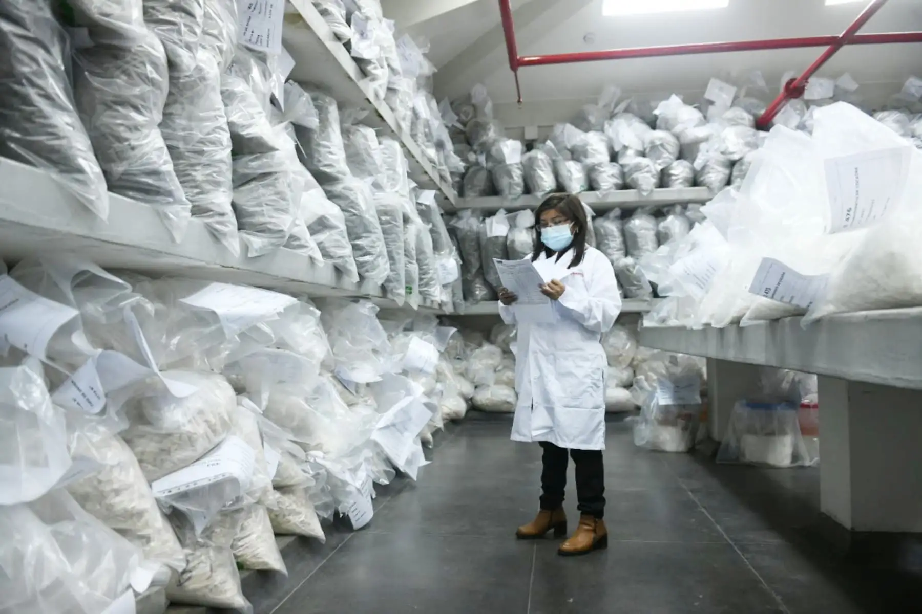 El Ministro Juan Carrasco, en los próximos días y a fin de reforzar la lucha contra el tráfico de drogas, el Ministerio Interior iniciará la neutralización de más de 11 TM de insumos químicos y productos fiscalizados que son usados para elaborar cocaína.
Foto:Mininter