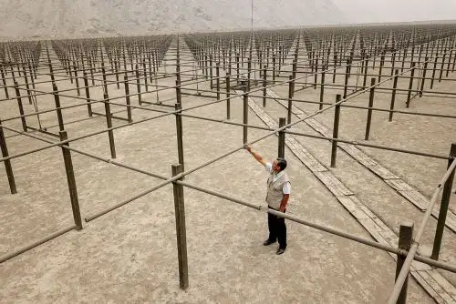 Técnicos, investigadores y científicos del Radio Observatorio de Jicamarca del IGP están efectuando las pruebas con el cuarto transmisor de alta potencia, que puede llegar a 1.1 MW.  (Foto: IGP)