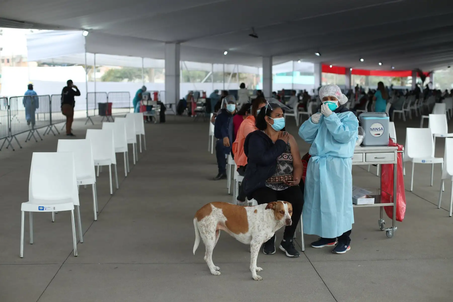 Así se desarrolla la octava Vacunatón contra la covid-19 en el Parque Zonal Huiracocha, en San Juan de Lurigancho. Foto: ANDINA/Carla Patiño