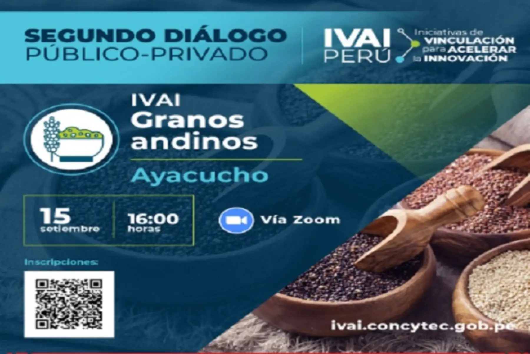 Ayacucho es  la segunda productora nacional de estos granos, después de la región Puno.
