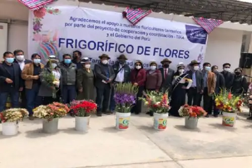 Perú cuenta con más de 7 mil familias productoras de flores y plantas.