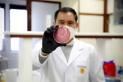 Tecnología plantea desarrollar un secuenciamiento del genoma completo de las infecciones resistentes a fármacos. Foto: Concytec