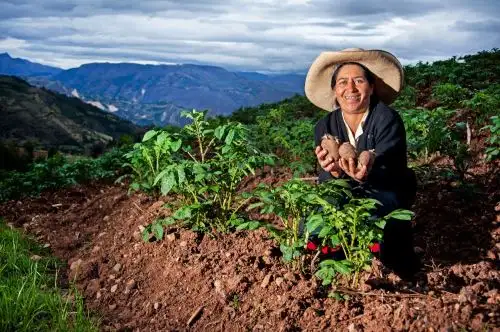 Agro familiar.