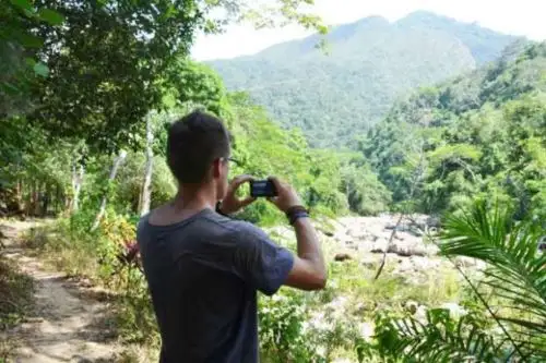 Región San Martín instala grupo de trabajo hará monitoreo de proyectos que buscan reducir la deforestación. ANDINA/Archivo