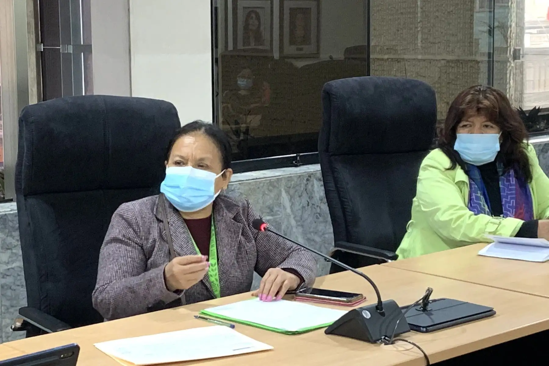 Esta tarde la ministra de la Mujer y Poblaciones Vulnerables, Anahí Durand, se reunió con representantes de la Federación Trabajadoras del Hogar Perú para conocer sus demandas y expresar su respaldo en el pedido para que el Congreso ratifique el convenio 190 de la OIT y así erradiquemos toda forma de acoso y violencia en el trabajo. Foto: MIMP