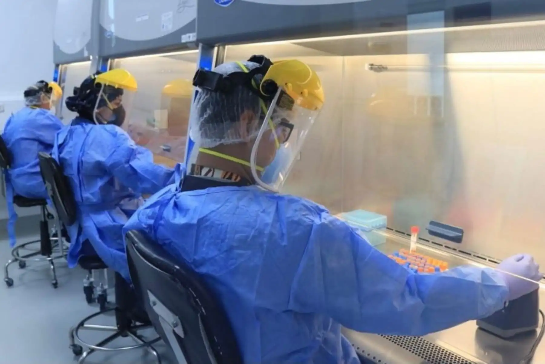 Minsa fortalece laboratorios y diagnóstico molecular en el país frente a la tercera ola. Foto: ANDINA/Difusión.