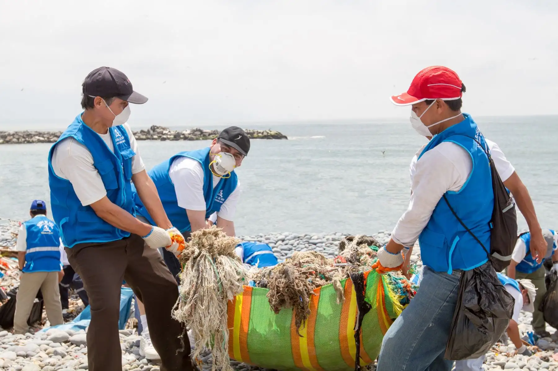 La actividad se llevará a cabo hasta el mediodía en las playas Miramar, Conchitas, La Pocita (Ancón), Grande (Santa Rosa), Los Yuyos, Barranquito (Barranco), Agua Dulce I y II (Chorrillos), Venecia (Villa El Salvador), San Pedro (Lurín), El Silencio (Punta Hermosa), Punta Rocas (Punta Negra), Norte A y B (San Bartolo), Grande, Chica (Santa María) y Naplo (Pucusana). ANDINA/ Municipalidad de Lima