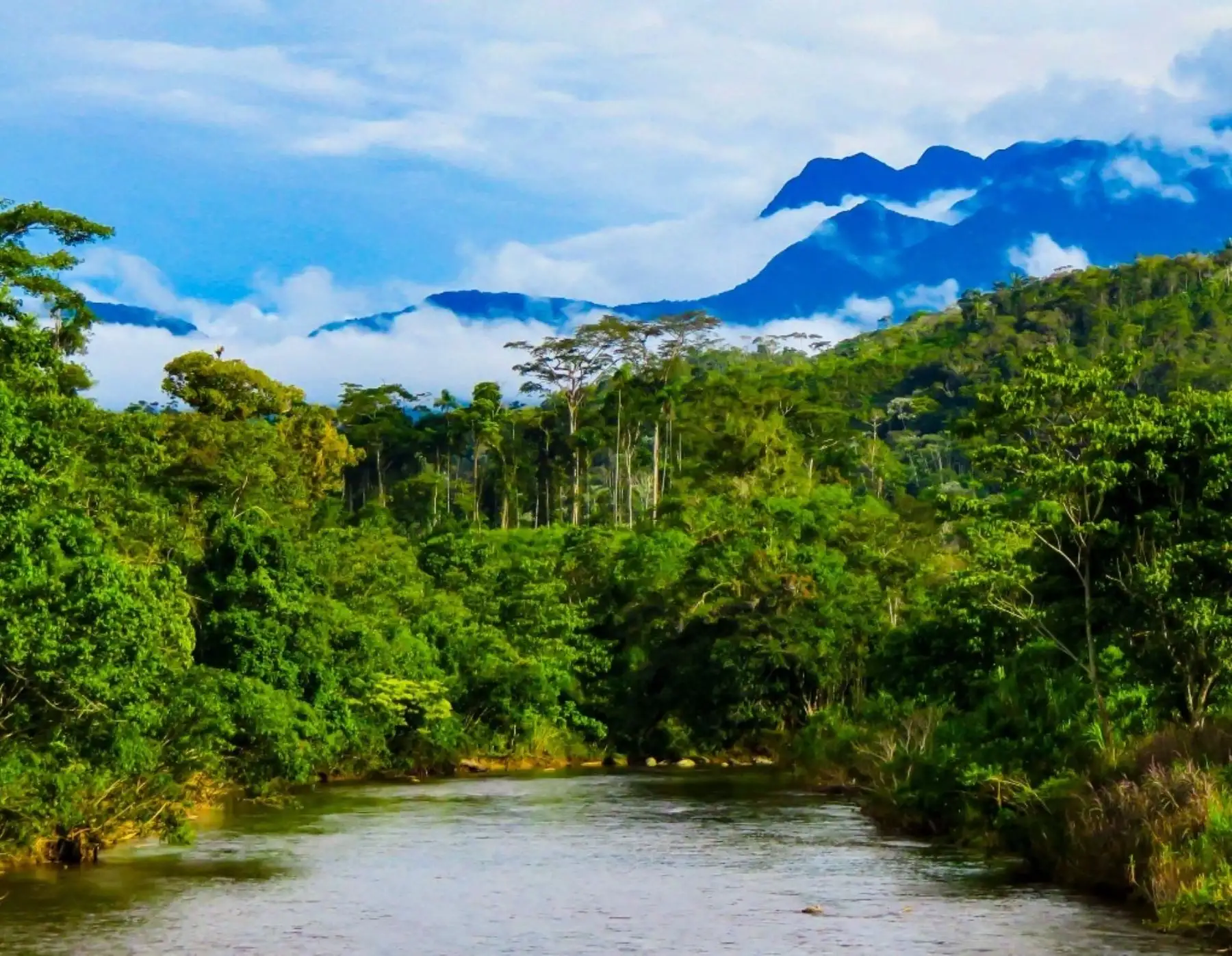 Sernanp impulsa el turismo rural comunitario en el Bosque de Protección Alto Mayo, ubicado en la región San Martín, con la inauguración de la Casa del Turista de Nueva Zelandia.