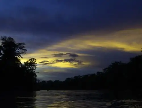 Avireri-Vraem, conoce la última Reserva de Biósfera del Perú reconocida por la Unesco y que se ubica en las regiones de Junín y Cusco.