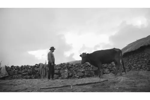 ANDINA/Difusión