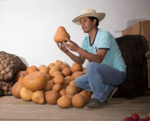 Conoce a Luis Felipe Manrique, el maestro huancavelicano que ganó el concurso Artesano creativo del Bicentenario que organizaron Mincetur y la embajada de Estados Unidos en Perú. ANDINA/Difusión