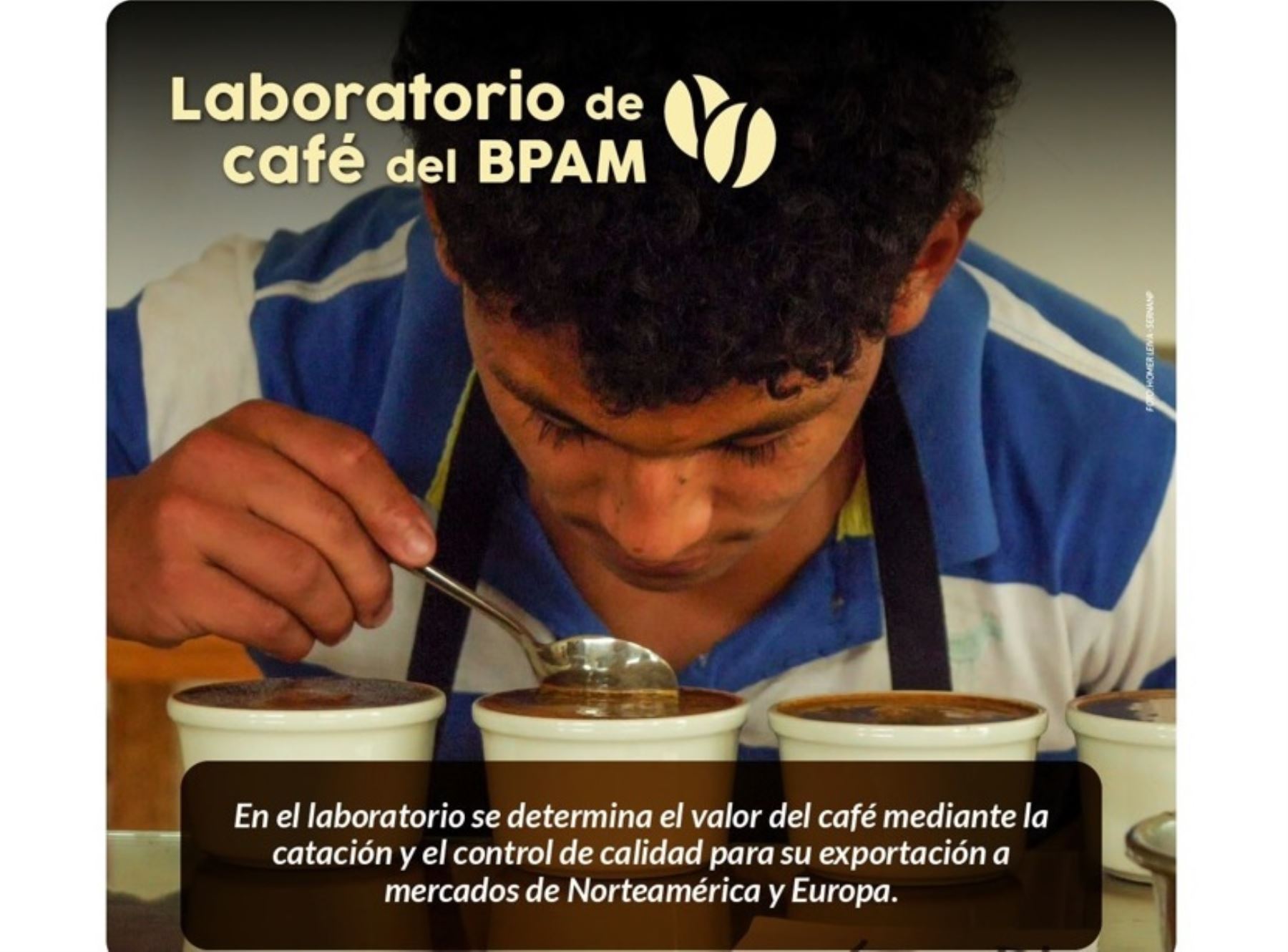 Jóvenes comprometidos con la conservación que viven en el Bosque de Protección Alto Mayo, en San Martín, se capacitan como catadores de café. ANDINA/Difusión