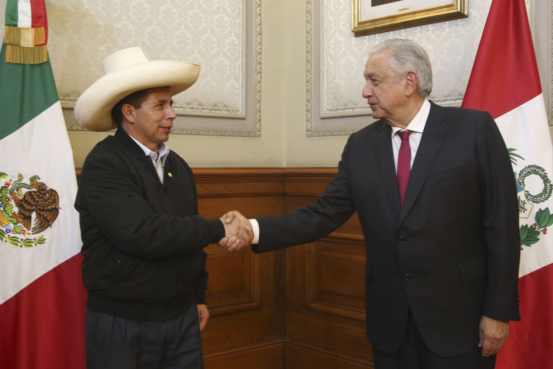 El presidente de la República, Pedro Castillo, sostuvo una reunión con su homólogo mexicano Manuel López Obrador. Foto: Prensa Presidencia