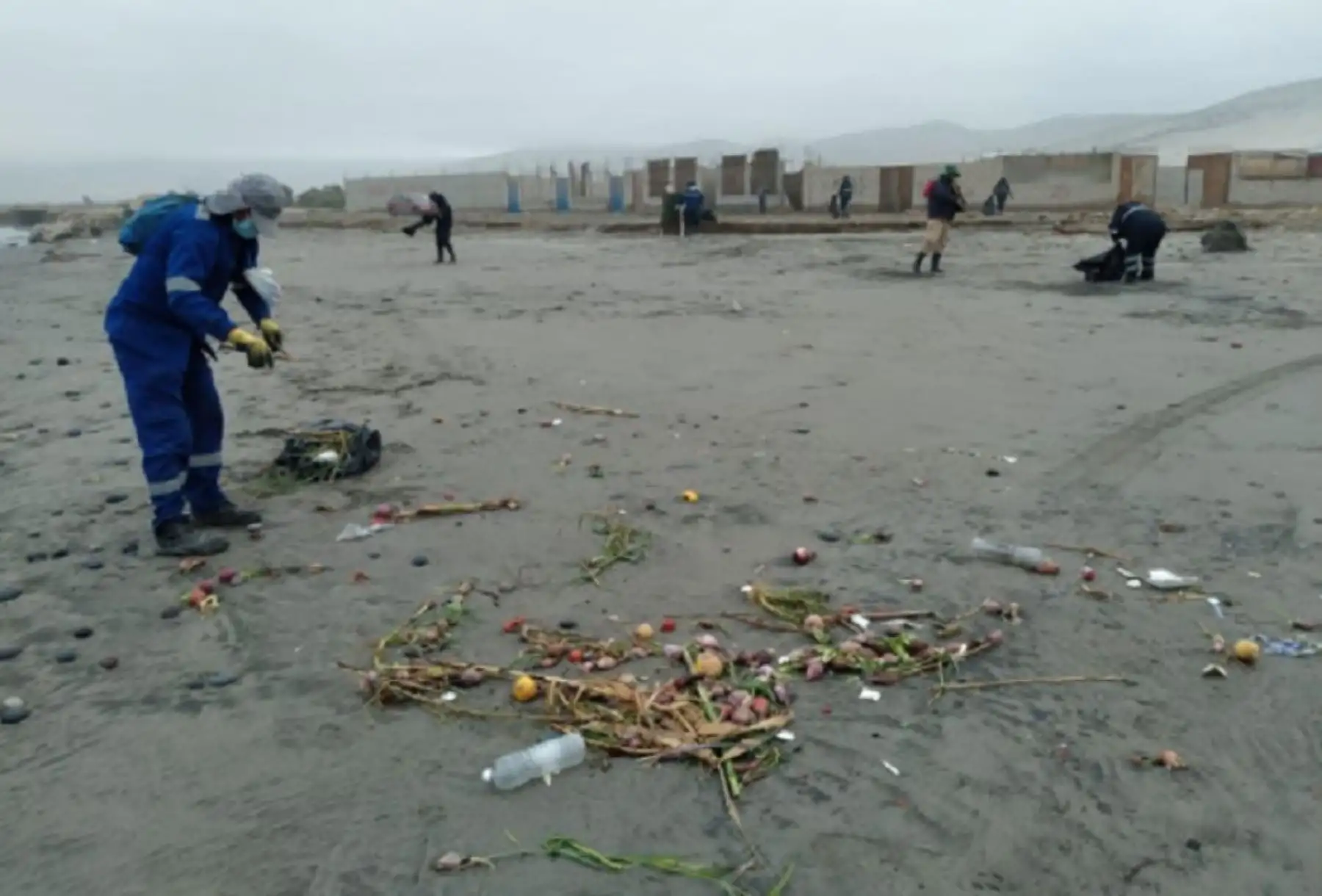 Una campaña de limpieza se realizó en las playas del balneario de Camaná, en la región Arequipa, en el marco del Día Mundial de la Limpieza de Playas, que se celebra el 21 de setiembre, y para el uso de playas desde el lunes 20 en todas las provincias con nivel de alerta moderado.