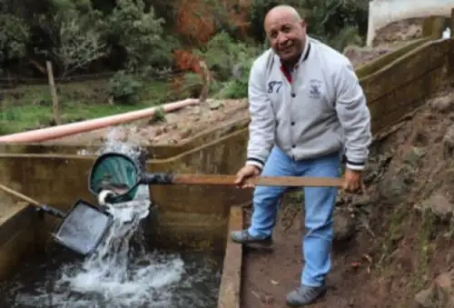 La asociación de productores de trucha “Somos Perú” de la provincia de San Pablo logró triplicar su producción gracias a la capacitación y gestión de recursos que realiza el Gobierno Regional de Cajamarca, en el marco de la reactivación económica y seguridad alimentaria para combatir la desnutrición.
