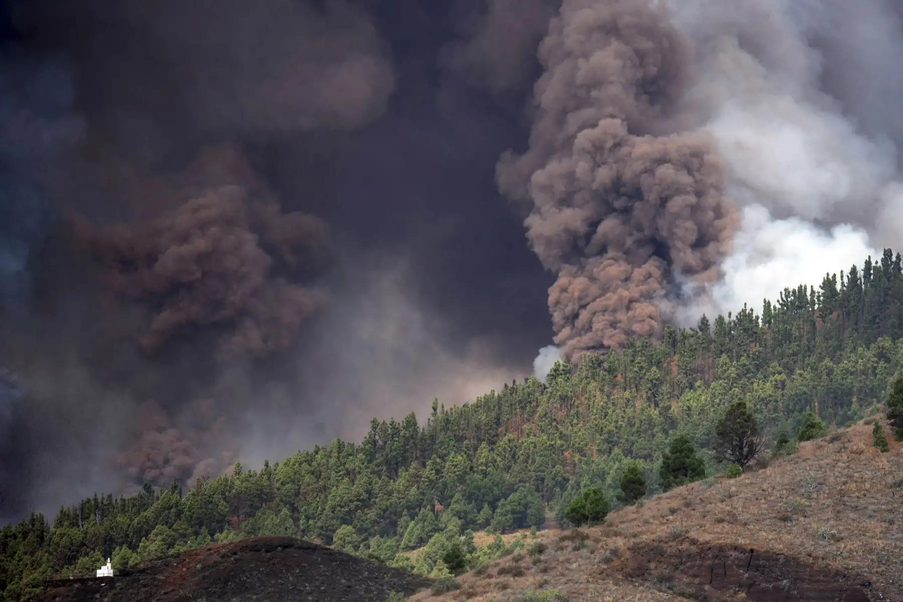 El monte Cumbre Vieja entra en erupción arrojando una columna de humo, ceniza y lava como se ve desde Los Llanos de Aridane en la isla canaria de La Palma, España. Foto: AFP