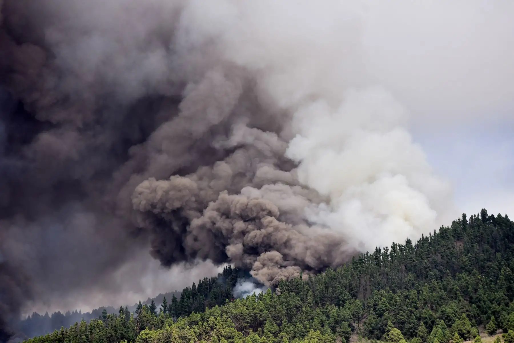 El monte Cumbre Vieja entra en erupción arrojando una columna de humo, ceniza y lava como se ve desde Los Llanos de Aridane en la isla canaria de La Palma, España. Foto: EFE