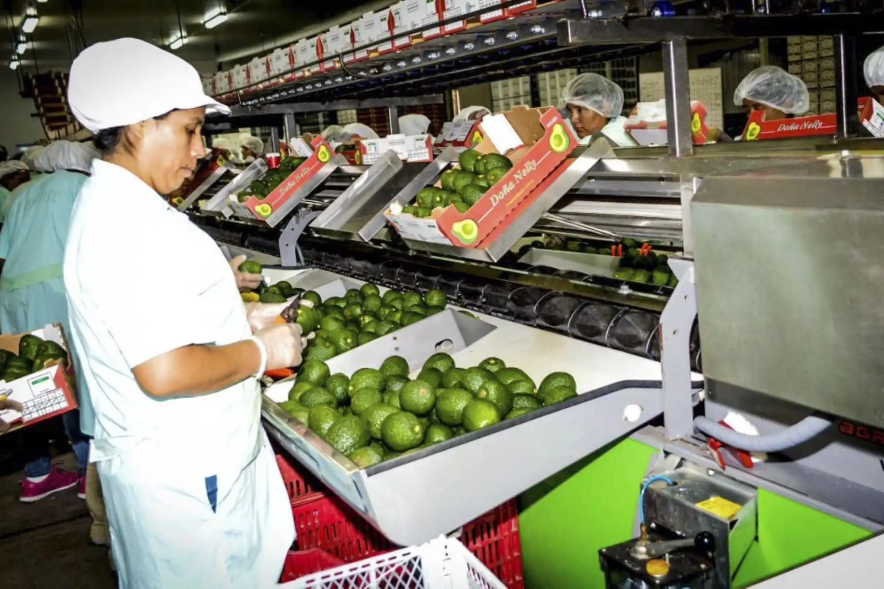 Exportaciones. Foto: ANDINA/Difusión