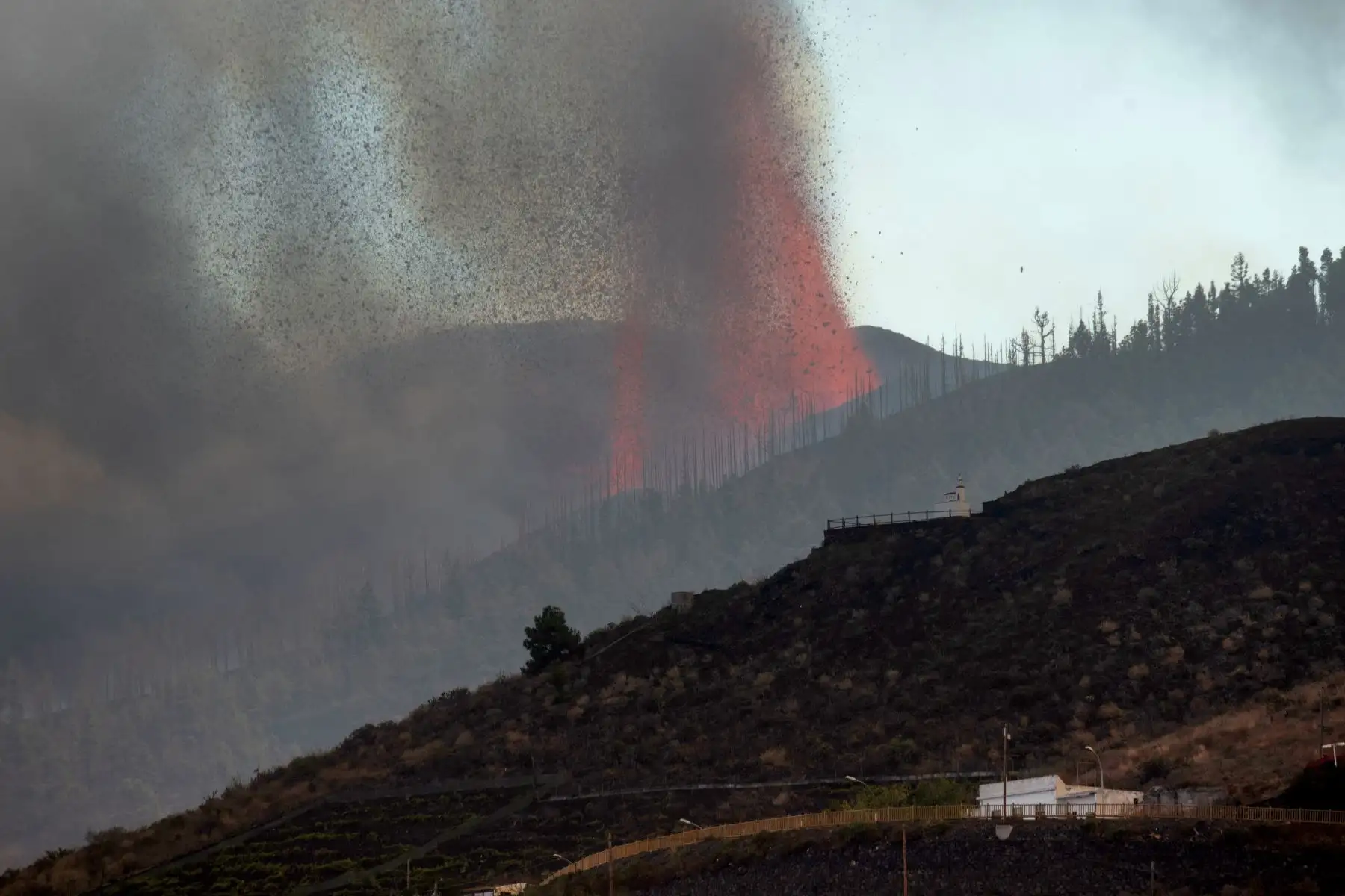 La erupción de un volcán en la isla de La Palma, en el archipiélago español de Canarias, provocó la destrucción de unas cien casas alcanzadas por las coladas de lava. Foto: AFP