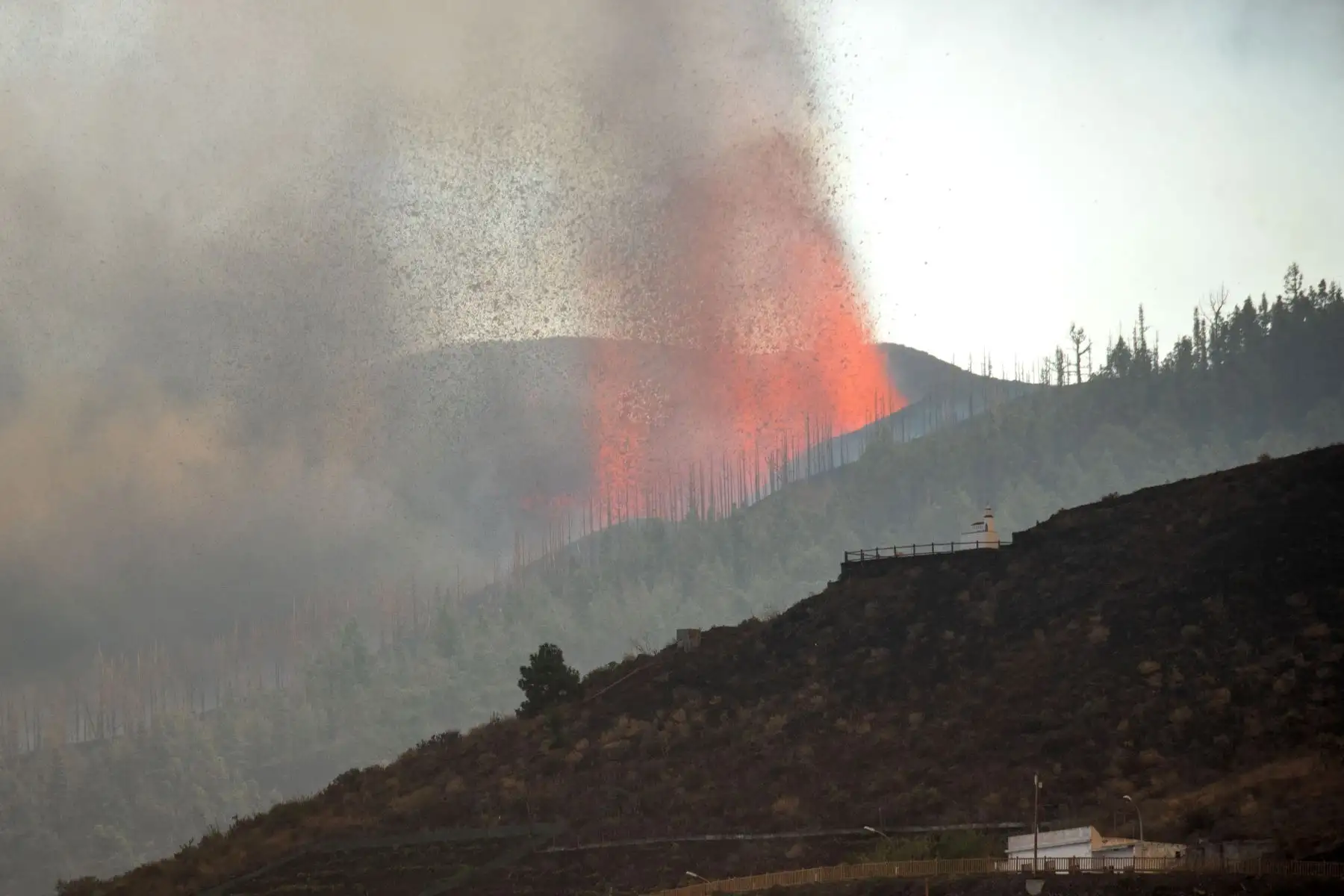 La erupción ha estallado en el municipio de El Paso, uno de los cuatro que estaban en alerta por riesgo volcánico. Foto: AFP
